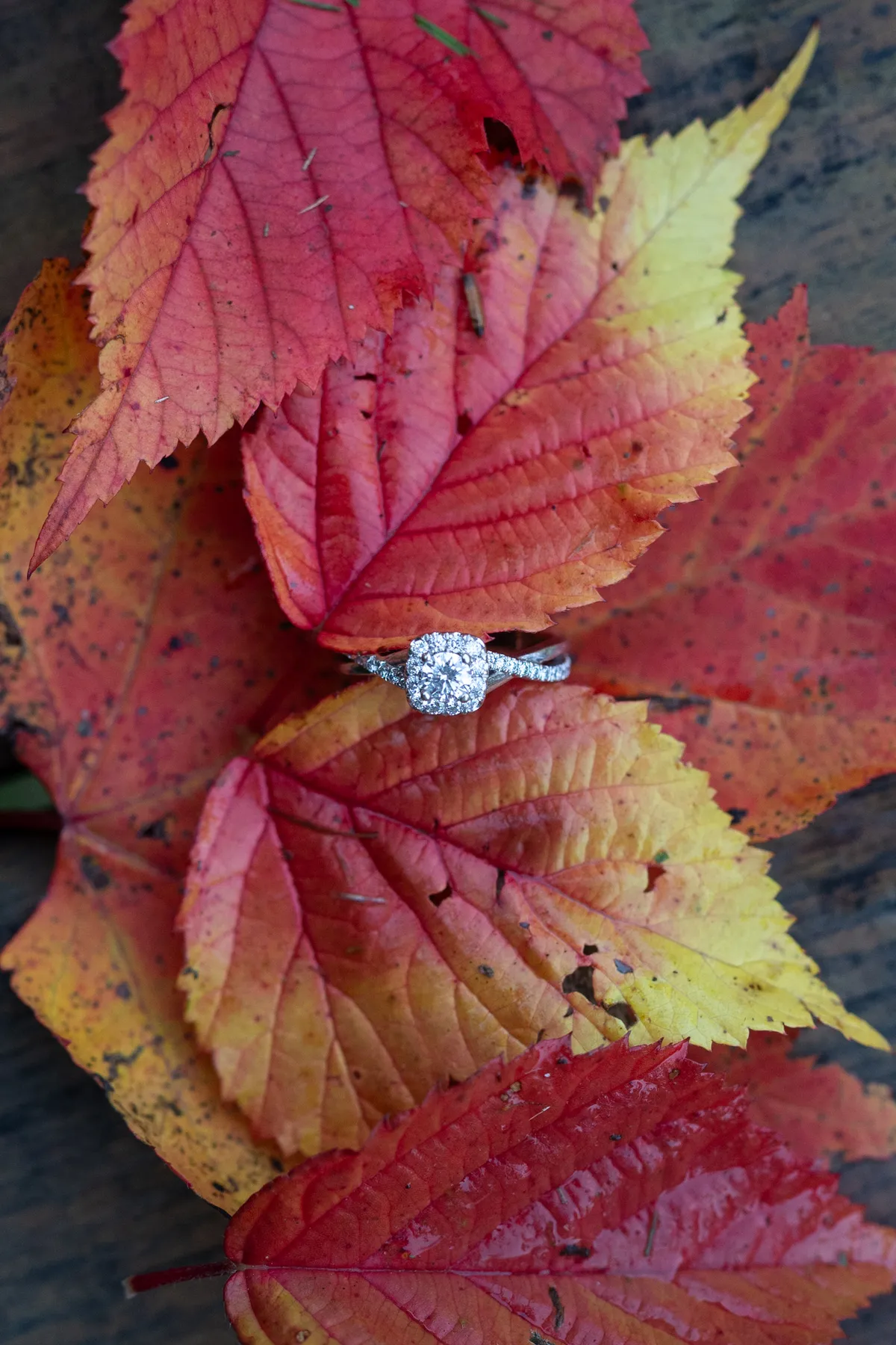 Featured Story Set — 3 — 2